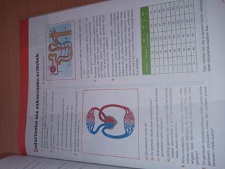 Biologia eta Geologia. Batxilergoa 1.