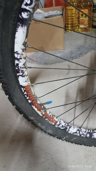 Bici specialized descenso big hit 3