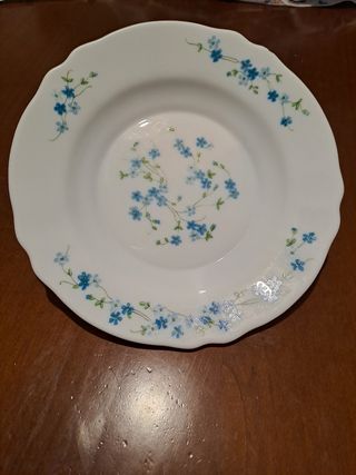 Piatto Arcopal