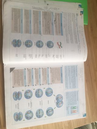 Biologia y Geologia 1 bachillerato, Edelvives