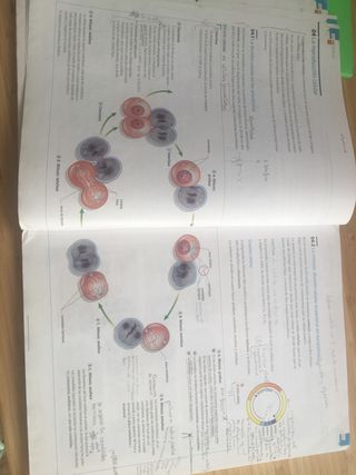 Biologia y Geologia 1 bachillerato, Edelvives