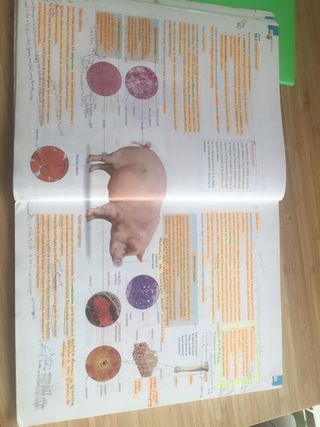 Biologia y Geologia 1 bachillerato, Edelvives