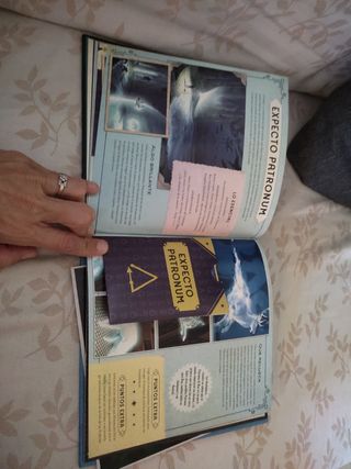 Hechizos y encantamientos Harry Potter