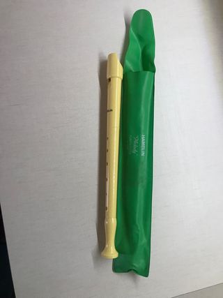 flauta escolar