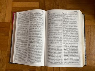 Diccionario esencial de la lengua española nuevo