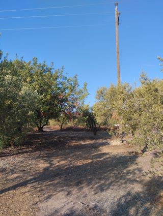 Terreno riudoms