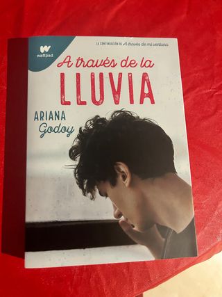 A traves de la lluvia