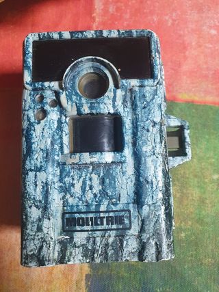 Camara de caza nocturna