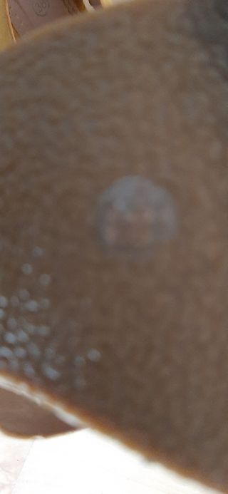 Sandalias color mostaza