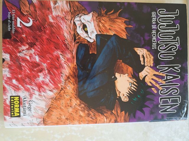 Jujutsu Kaisen 1 y 2 Manga en español