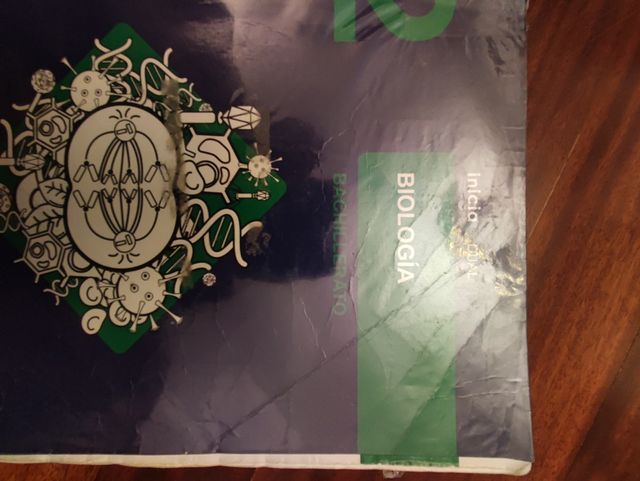 Baccalauréat Segundo Livro do Baccalauréat