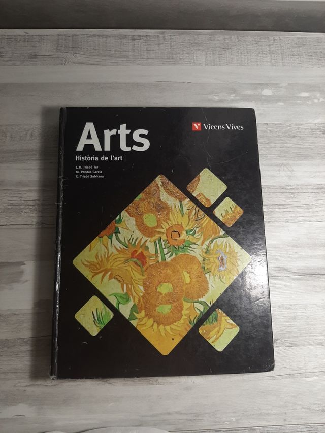 Arte, Storia dell'arte, Vicens Vives