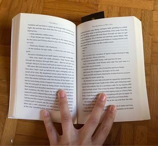 libro the Quiddity of will self en ingles