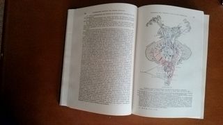 Manual de Patología Médica.M.Bañuelos