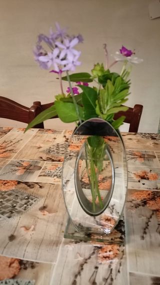Vasi specchio