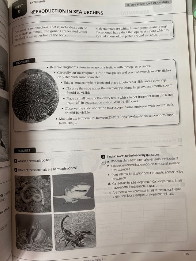 Biology and Geology 1. Teacher’s Book. Santillana