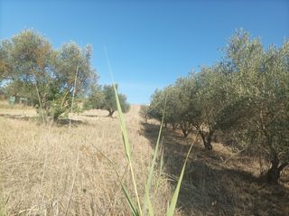 Terreno en  calle campiñuela baja 4400 m con agua/