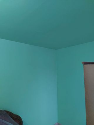 Ofrezco servicios como pintor