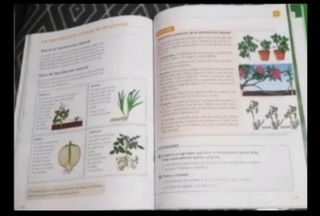 Ciencia De La Naturaleza 4 °de Primaria