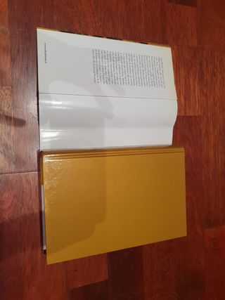 Il forte sul fiume - Jack Whyte