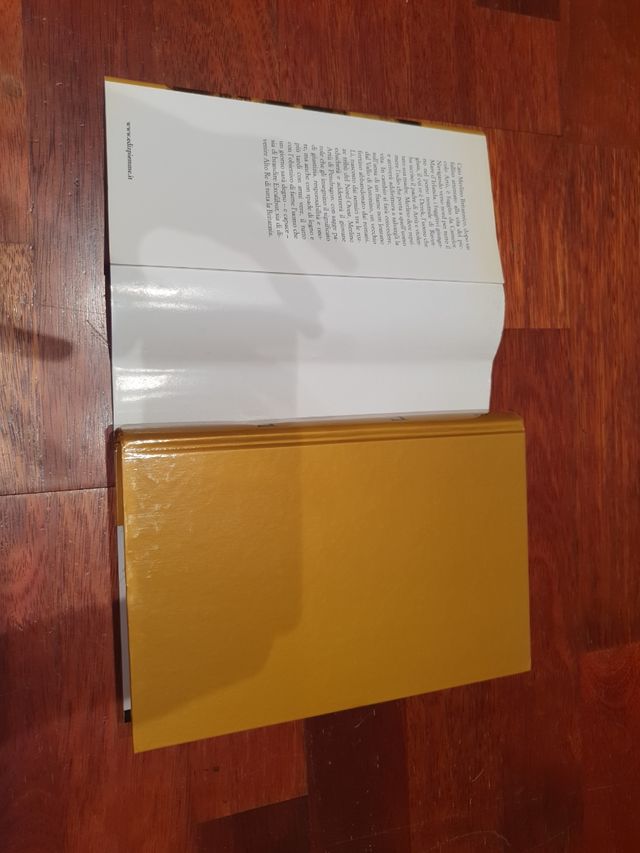 Il forte sul fiume - Jack Whyte