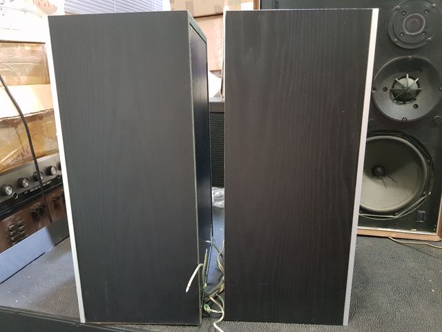 Altavoces Philips Black Tulip 22AH48300R