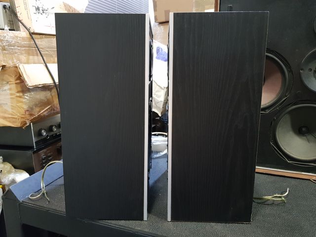 Altavoces Philips Black Tulip 22AH48300R
