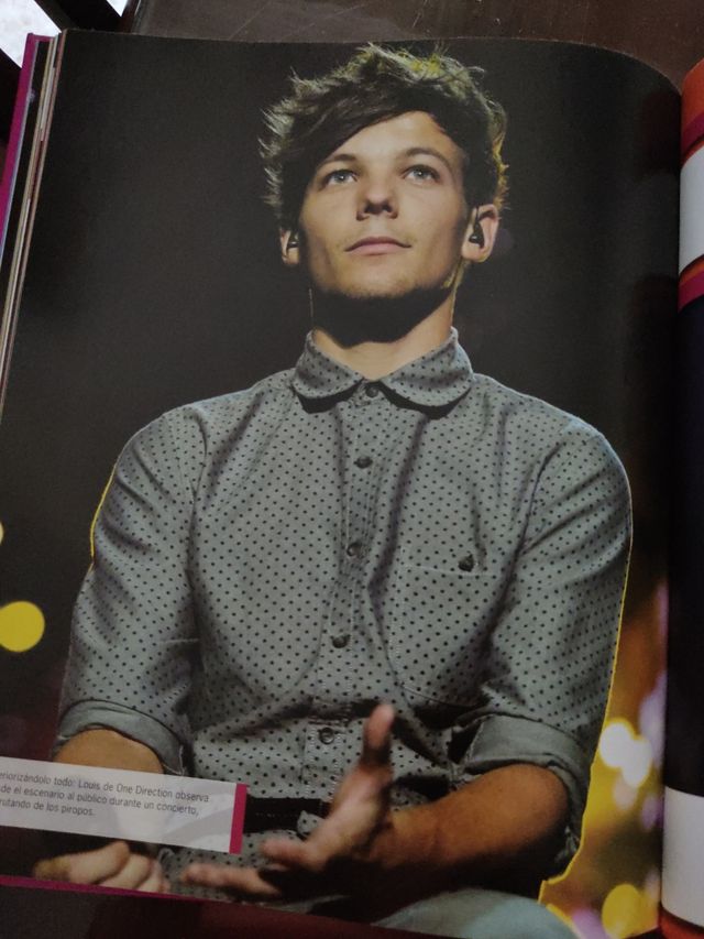 Libro one direction