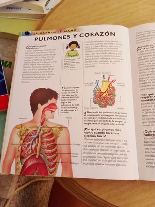 El porque de las cosas 