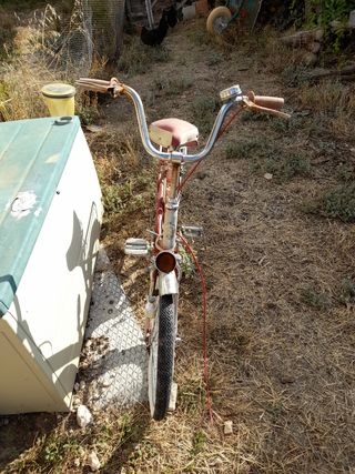 bici antigua Dal marca Española