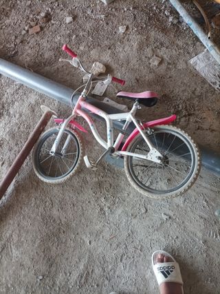 Bici pequeña 