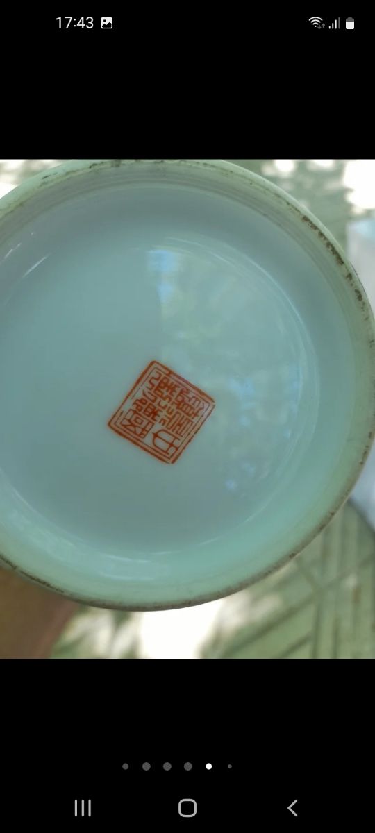 Pareja de jarrones chinos