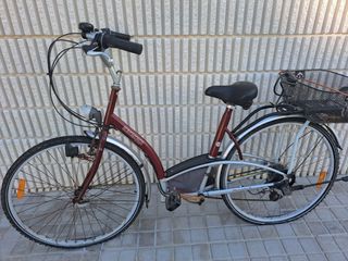 Bicicleta paseo