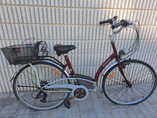 Bicicleta paseo