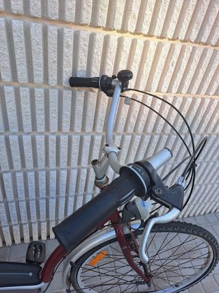 Bicicleta paseo