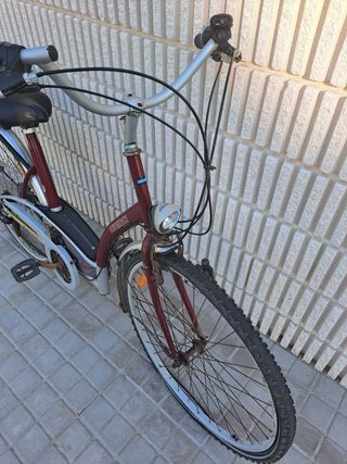 Bicicleta paseo
