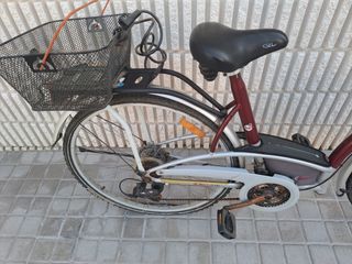 Bicicleta paseo