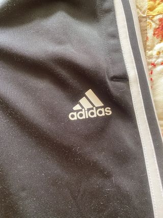 Chandal adidas