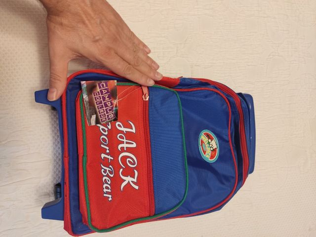 Mochila ruedas niño.