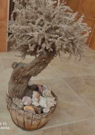 Bonsai artificial
