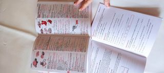 Diccionario inglés Macmillan