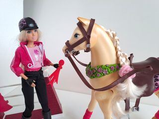 Barbie Amazona y su caballo saltador Tawny