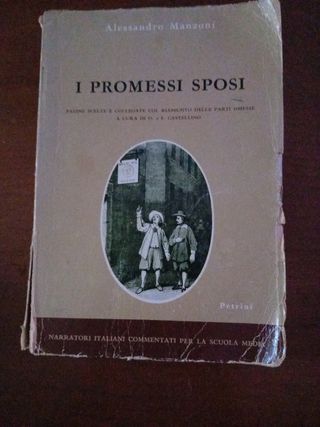 I promessi sposi 