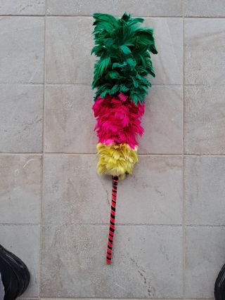 Spolverino pennacchio piume cavallo casa