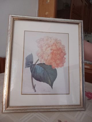 quadro