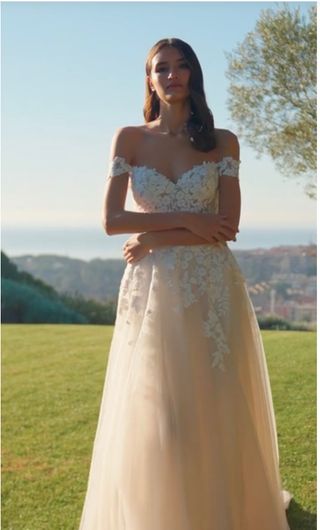 Vestido Novia Modelo Intra Rosa Clara