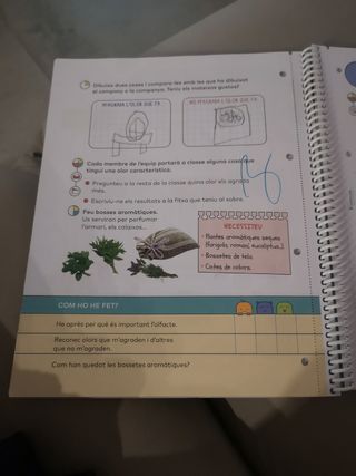 Libro Veiem, toquem, sentim Santillana