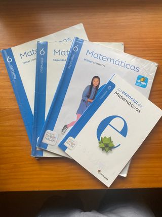 Libro Santillana Matematicas 6 primaria