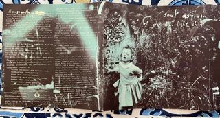 Soul asylum (Minessota)