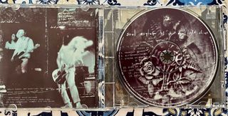 Soul asylum (Minessota)